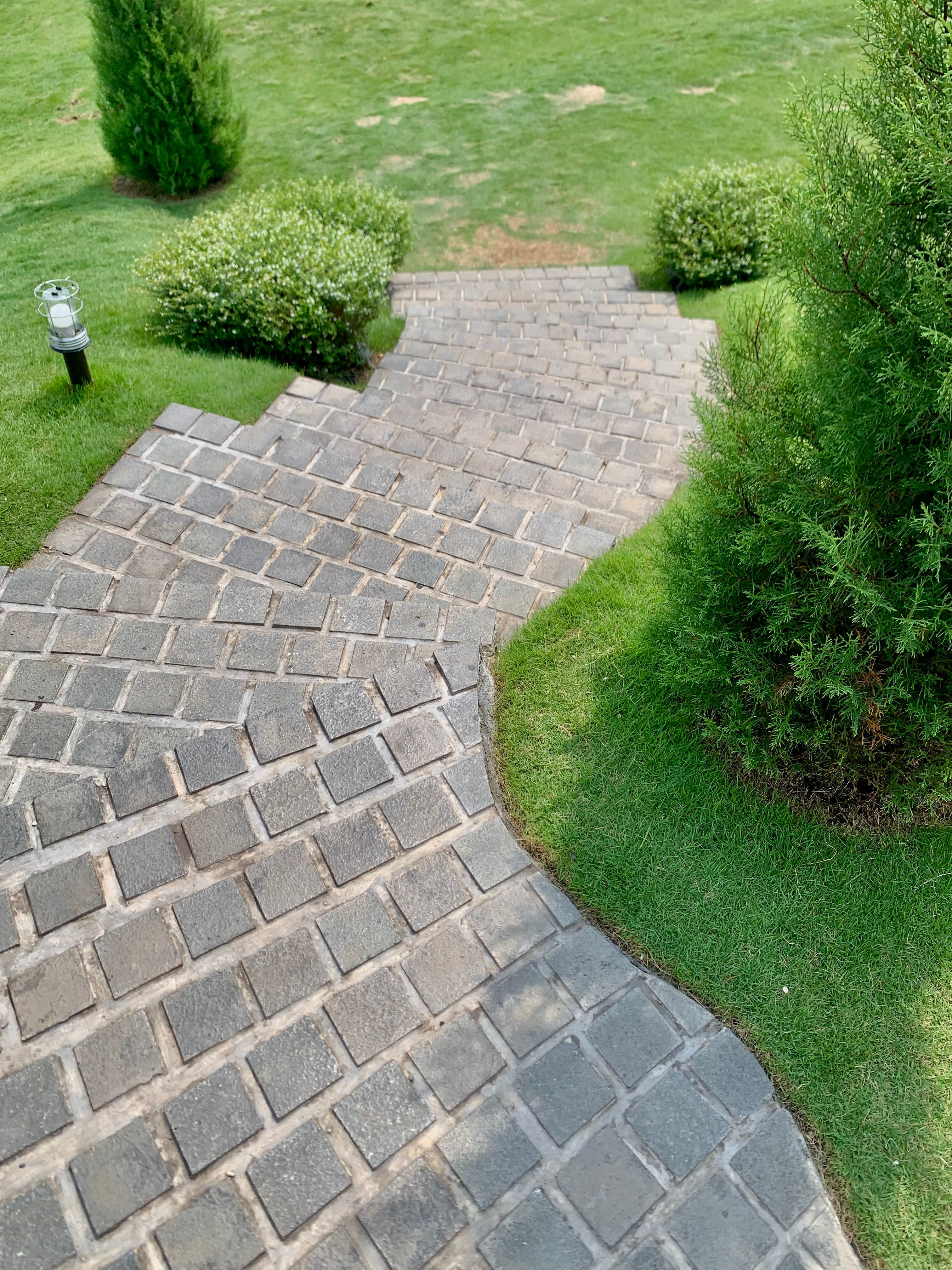Garden services including lawn, paving and planting work