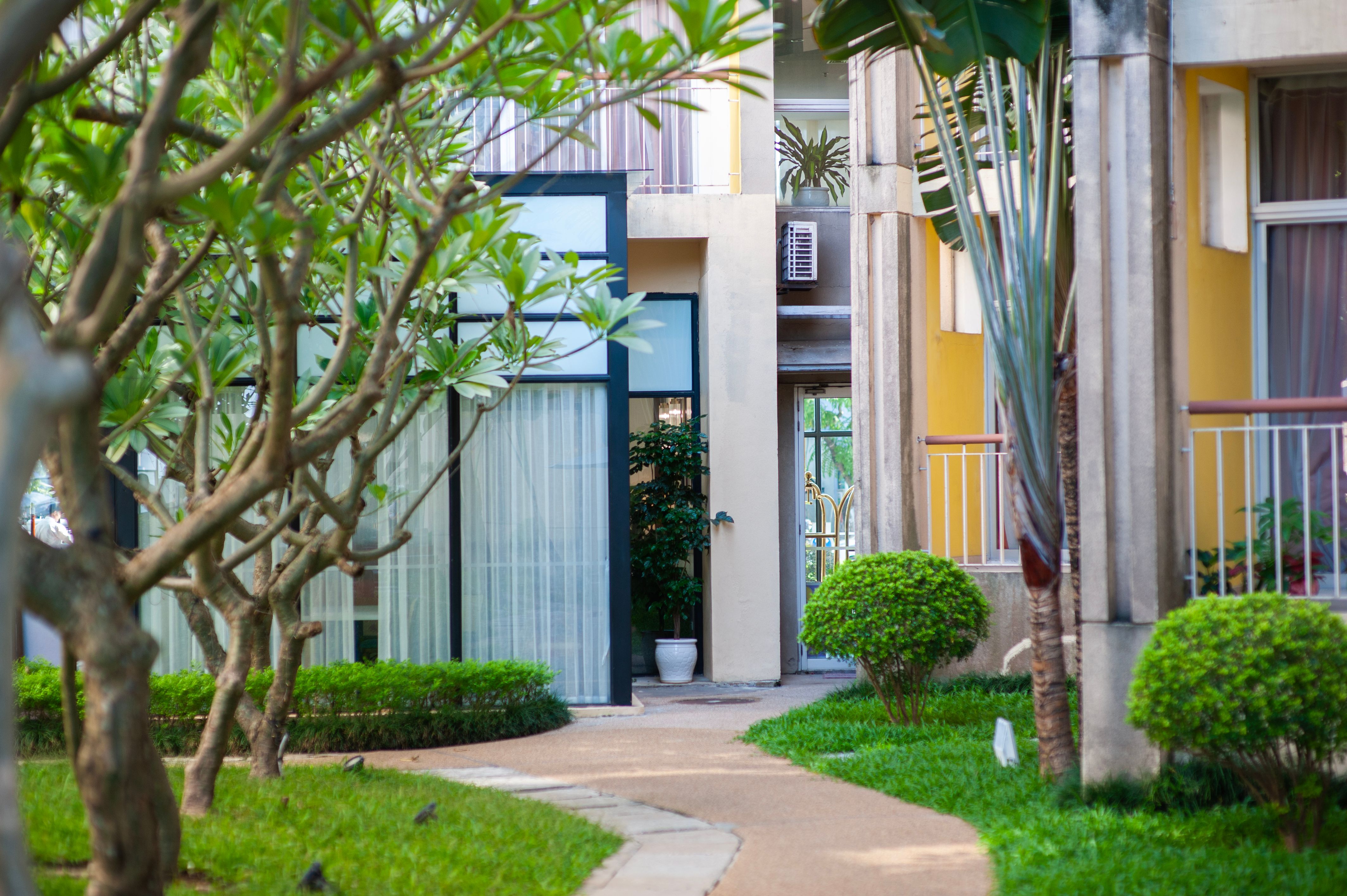 Outdoor garden living space with patio, pathway and planting